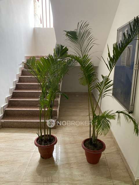 3 BHK Flat In Sethi Max Royal For Sale  In Sector-76