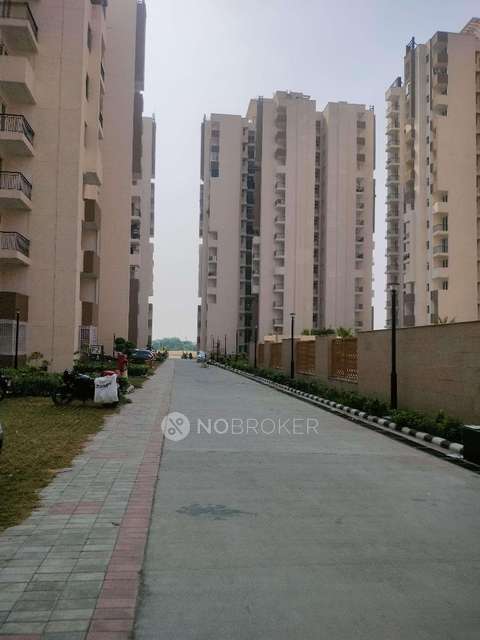 3 BHK Flat In Amrapali Leisure Park For Sale  In Sector-1