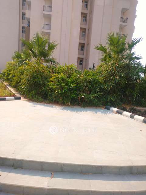 3 BHK Flat In Amrapali Leisure Park For Sale  In Sector-1