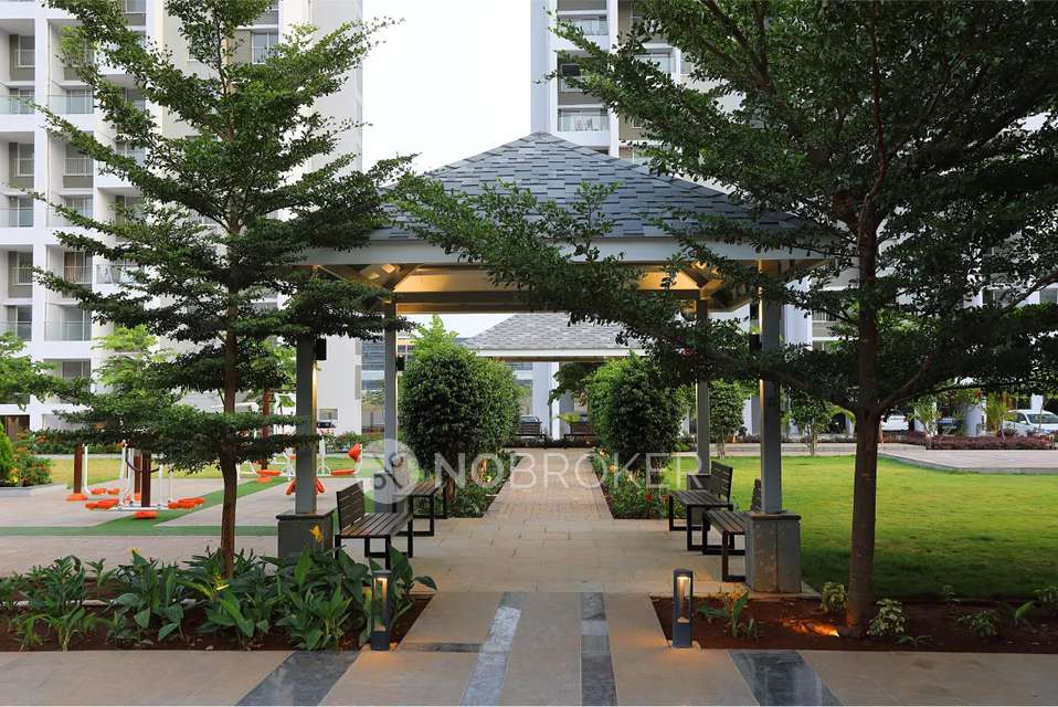 2 BHK Flat In Pinewood Drive, Hinjewadi for Rent  In Hinjewadi