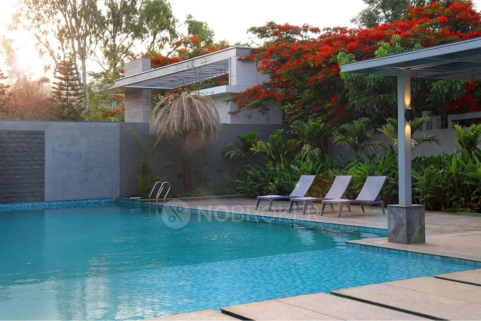 2 BHK Flat In Pinewood Drive, Hinjewadi for Rent  In Hinjewadi