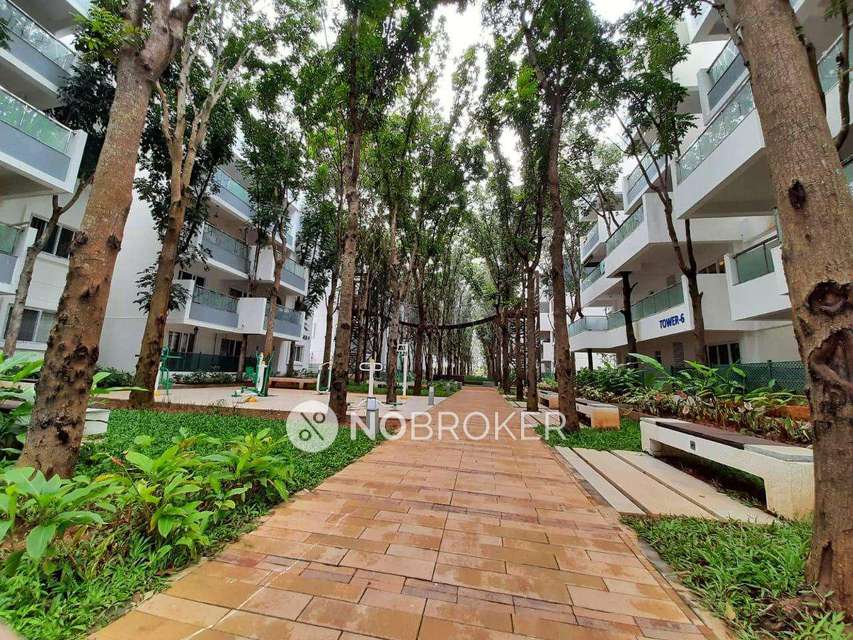 1 BHK Flat In Mana Tropicale for Rent  In Carmelaram