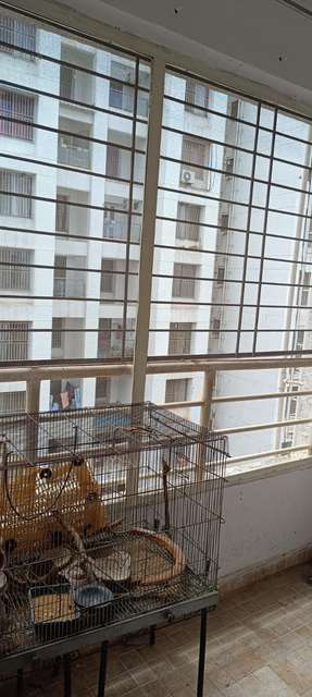 2 BHK Flat In Manjri Greenwoods for Rent  In Hadapsar