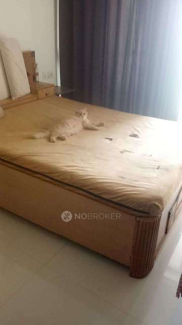 2 BHK Flat In Kalyan West For Sale  In Kalyan West