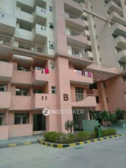 2 BHK Flat In Logix Blossom Zest  for Rent  In Sector 50