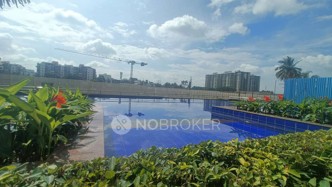 3 BHK Flat In Sterling Ascentia for Rent  In Bellandur