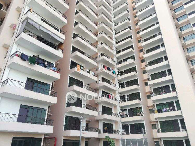 2 BHK Flat In Mvn Athens Phase Ii for Rent  In Sohna Sector-5