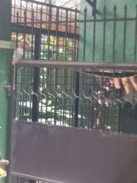 PG for Boys in Padmarao Nagar