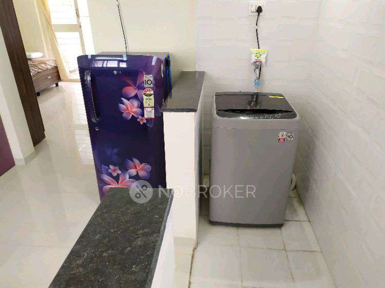 2 BHK Flat In Zinnia Elegans for Rent  In Wakad