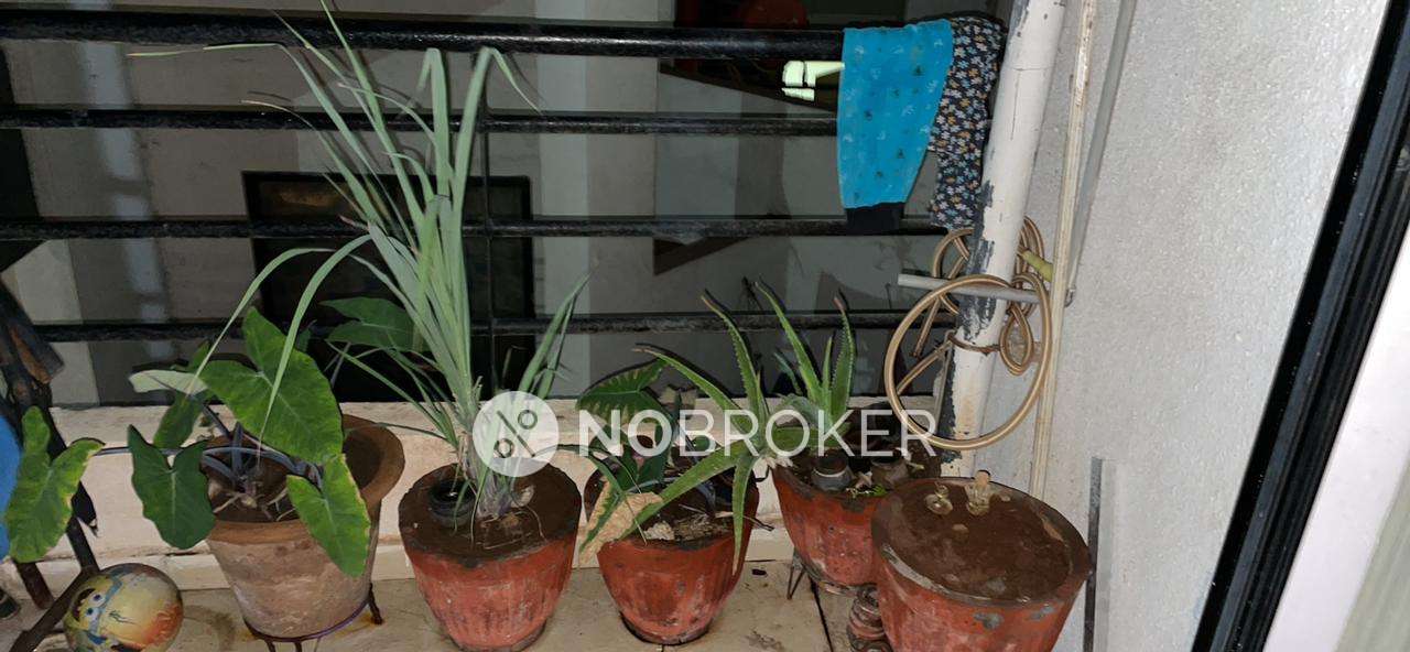 1 BHK Flat In Standalone Building  For Sale  In Wagholi