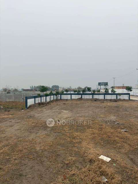 Plot For Sale  In Taj Greens  In Rabupura