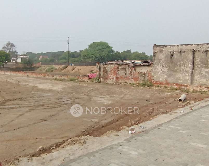 Plot For Sale  In Saikunj In Galgotias University