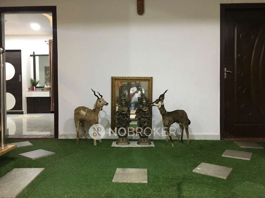 4+ BHK House For Sale  In Bikasipura