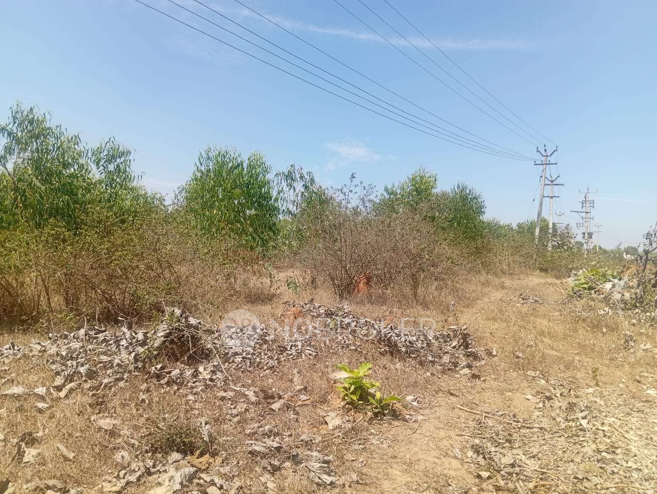 Plot For Sale  In Hosur