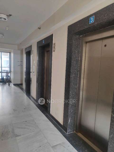 3 BHK Flat In Pioneer Park For Sale  In Sector 61 Gurgaon