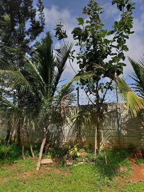 Plot For Sale  In Azven Back To Life In Hoskote