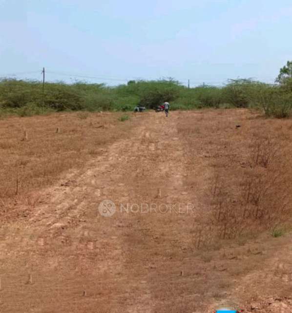 Plot For Sale  In Nandhiyambakkam