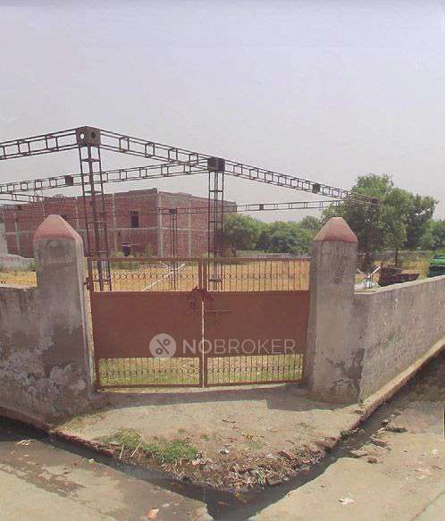 Godown/Warehouse in Milak Lachchhi, Greater Noida for Rent 