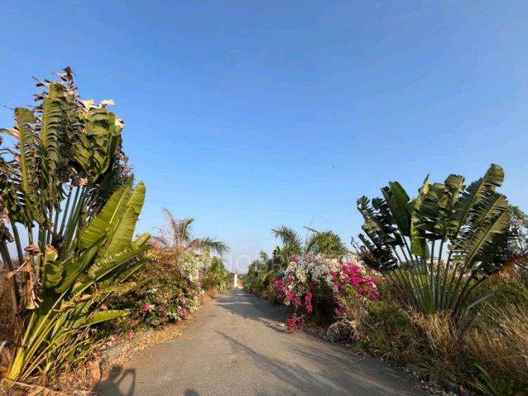 Plot For Sale  In Sarjapur