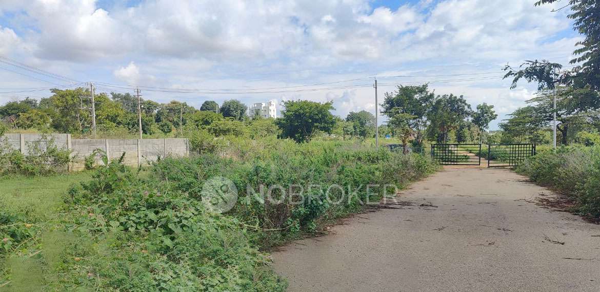 Plot For Sale  In Kns In Kns Anarva
