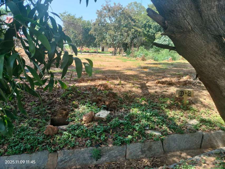 Plot For Sale  In Golden Village Layout In Bellandur