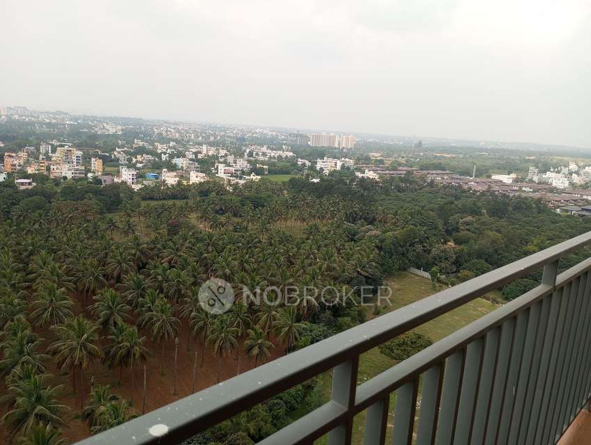 3 BHK Flat In Disha Pursuit Of Sunshine For Sale  In Bommanahalli
