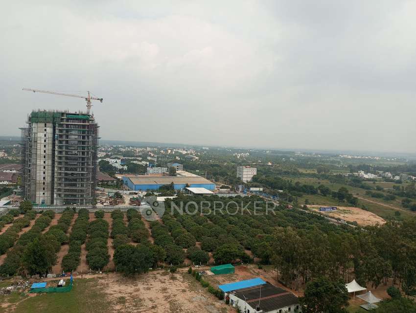 3 BHK Flat In Disha Pursuit Of Sunshine For Sale  In Bommanahalli