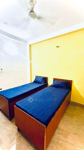 PG for Anyone in Sector 18