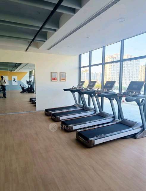 Single Room for Male In 2 BHK  In Godrej Hillside 3 In  Mahalunge