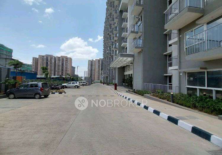 Single Room for Male In 2 BHK  In Godrej Hillside 3 In  Mahalunge