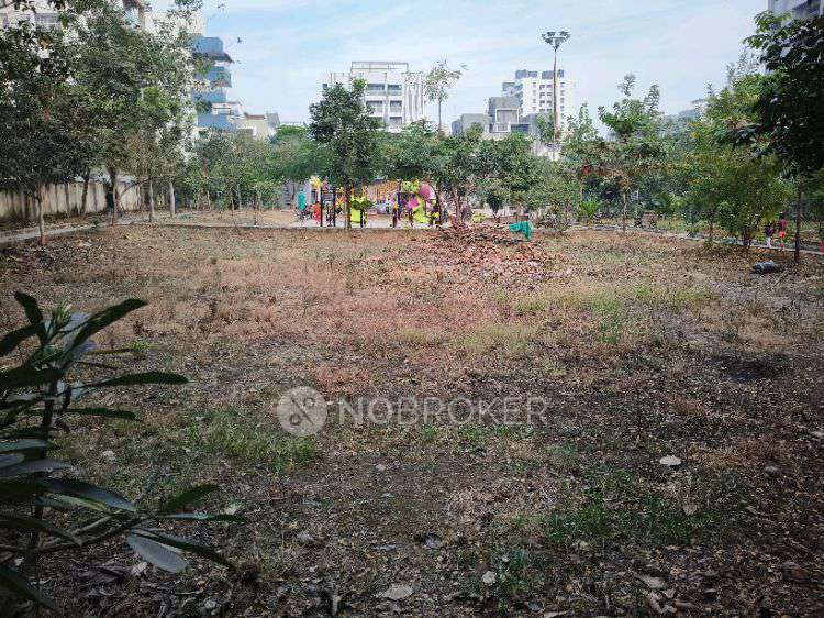 3 BHK Flat In Pasaydan Building  for Rent  In Baner