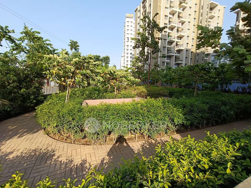 1 BHK Flat In Adi Siddhashila W57 for Rent  In Wakad