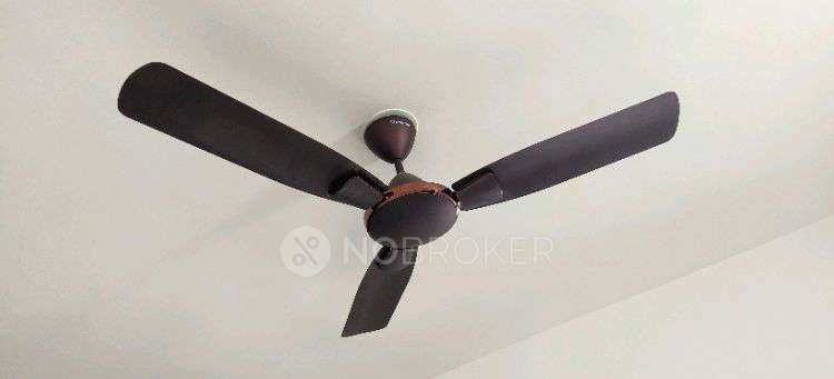 1 BHK Flat In Adi Siddhashila W57 for Rent  In Wakad