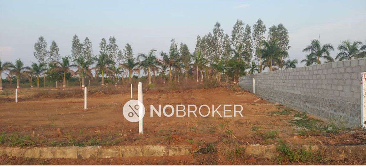 Plot For Sale  In Snr In Anthaipally
