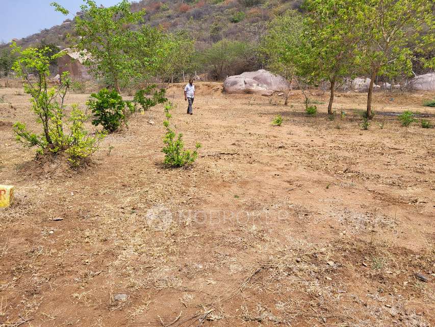 Plot For Sale  In Yadagirigutta Temple Developement Authority