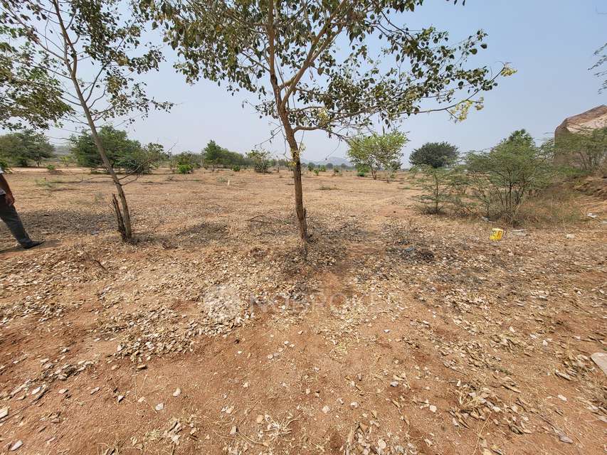 Plot For Sale  In Yadagirigutta Temple Developement Authority