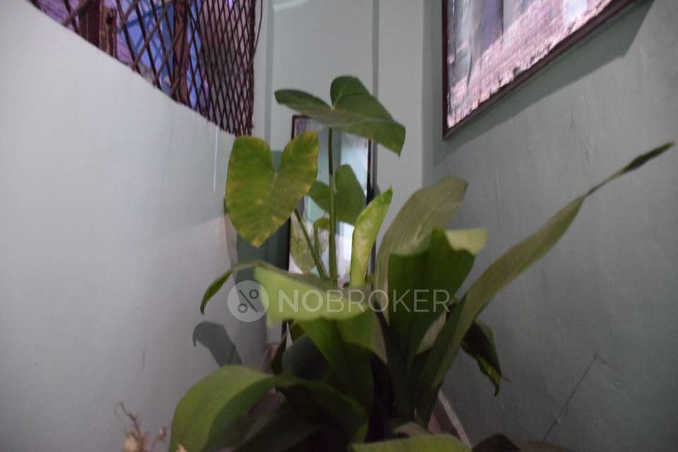 2 BHK Flat In Delhi Delhi Gate, Delhi For Sale  In Daryaganj