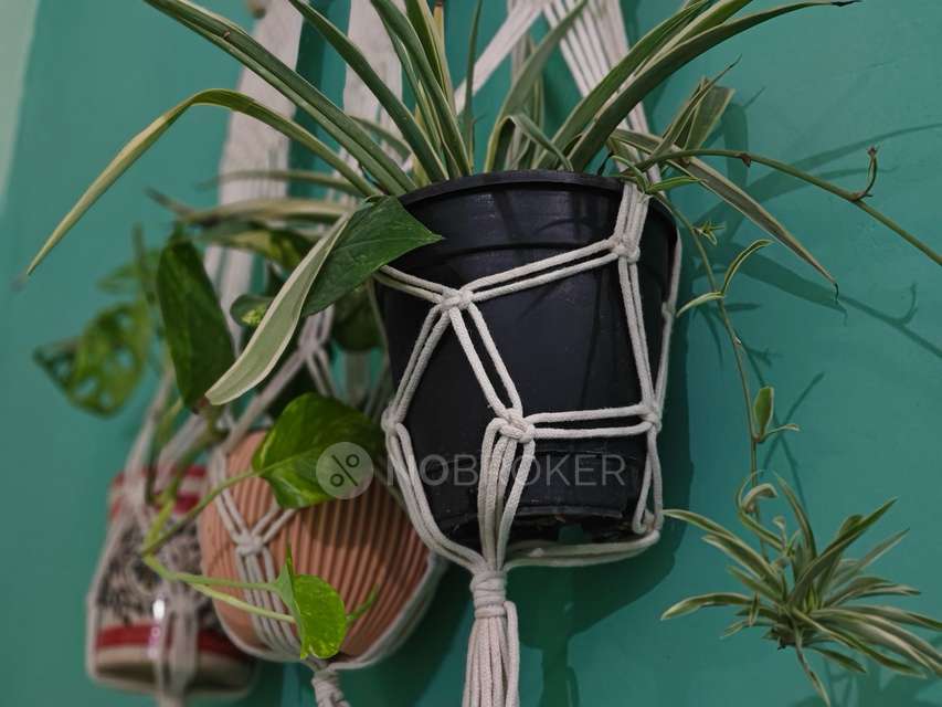 2 BHK Flat In Delhi Delhi Gate, Delhi For Sale  In Daryaganj