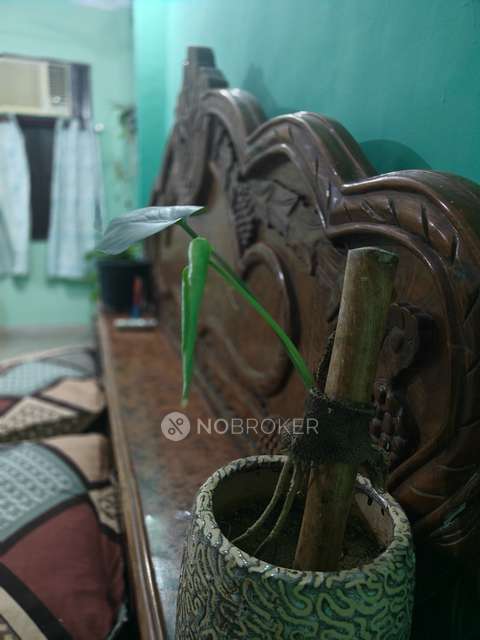 2 BHK Flat In Delhi Delhi Gate, Delhi For Sale  In Daryaganj