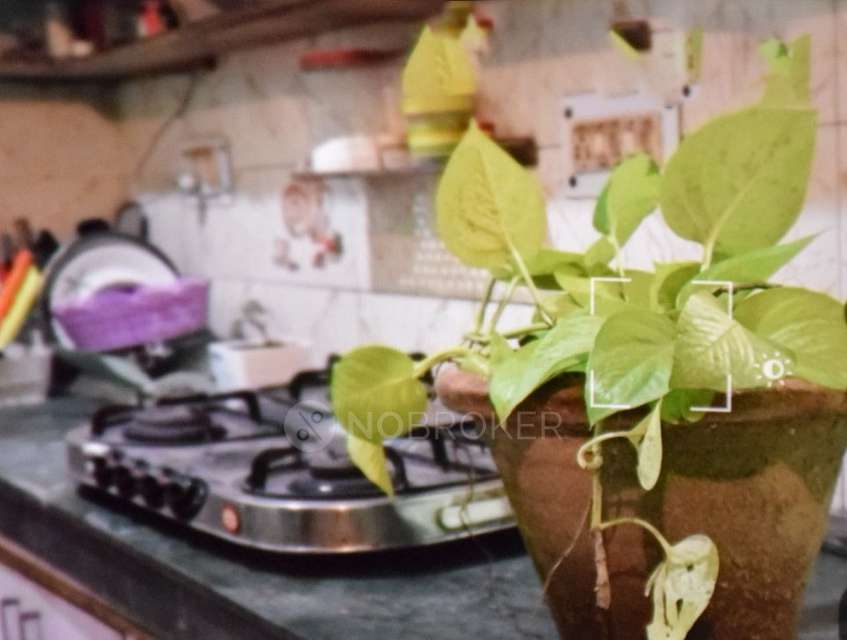 2 BHK Flat In Delhi Delhi Gate, Delhi For Sale  In Daryaganj