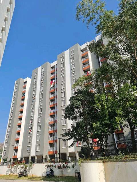 1 BHK Flat In Yashone  for Rent  In Pirangut