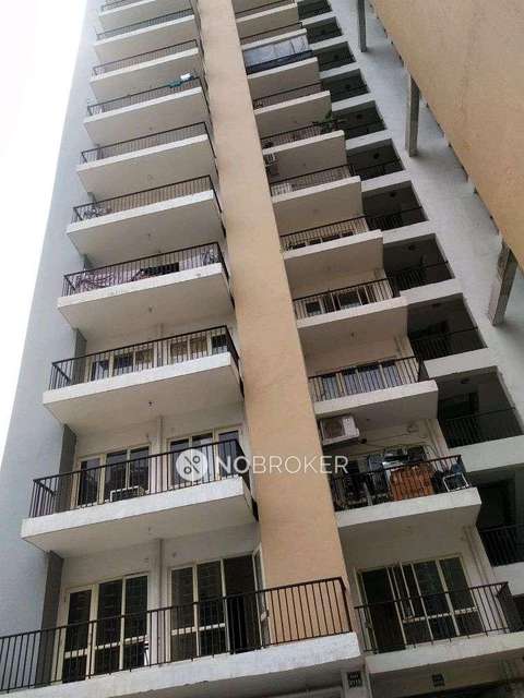 3 BHK Flat In Panchsheel Greens 2 For Sale  In Sector 16b 