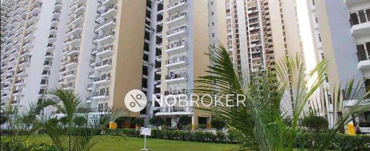 3 BHK Flat In Panchsheel Greens 2 For Sale  In Sector 16b 