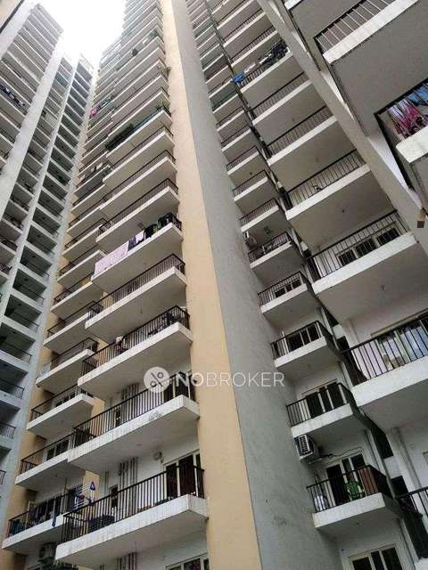 3 BHK Flat In Panchsheel Greens 2 For Sale  In Sector 16b 