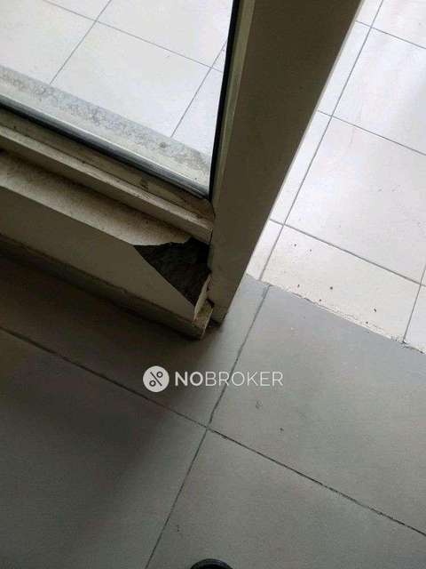 3 BHK Flat In Panchsheel Greens 2 For Sale  In Sector 16b 