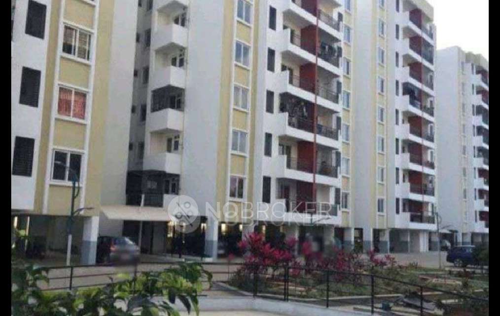 2 BHK Flat In Definer Kingdom, Bommenahalli for Rent  In Lemon Leafbudhigere