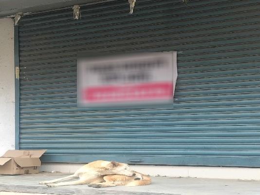 Shop in Saswad, Pune for Rent 