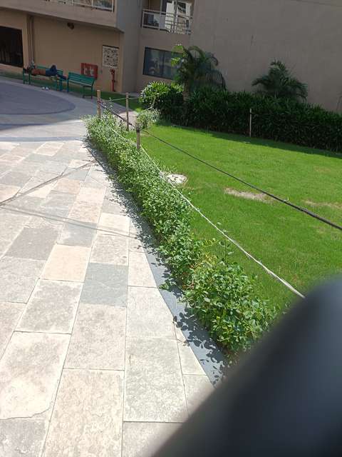 3 BHK Flat In Elite Golf Greens, Sector 79 For Sale  In Sector 79