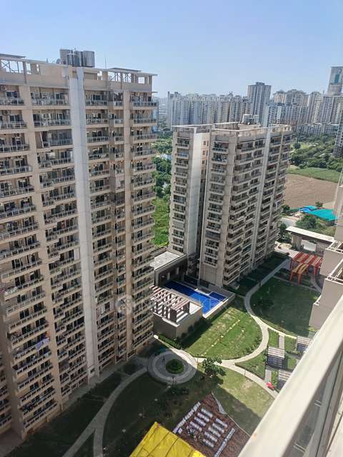 3 BHK Flat In Elite Golf Greens, Sector 79 For Sale  In Sector 79