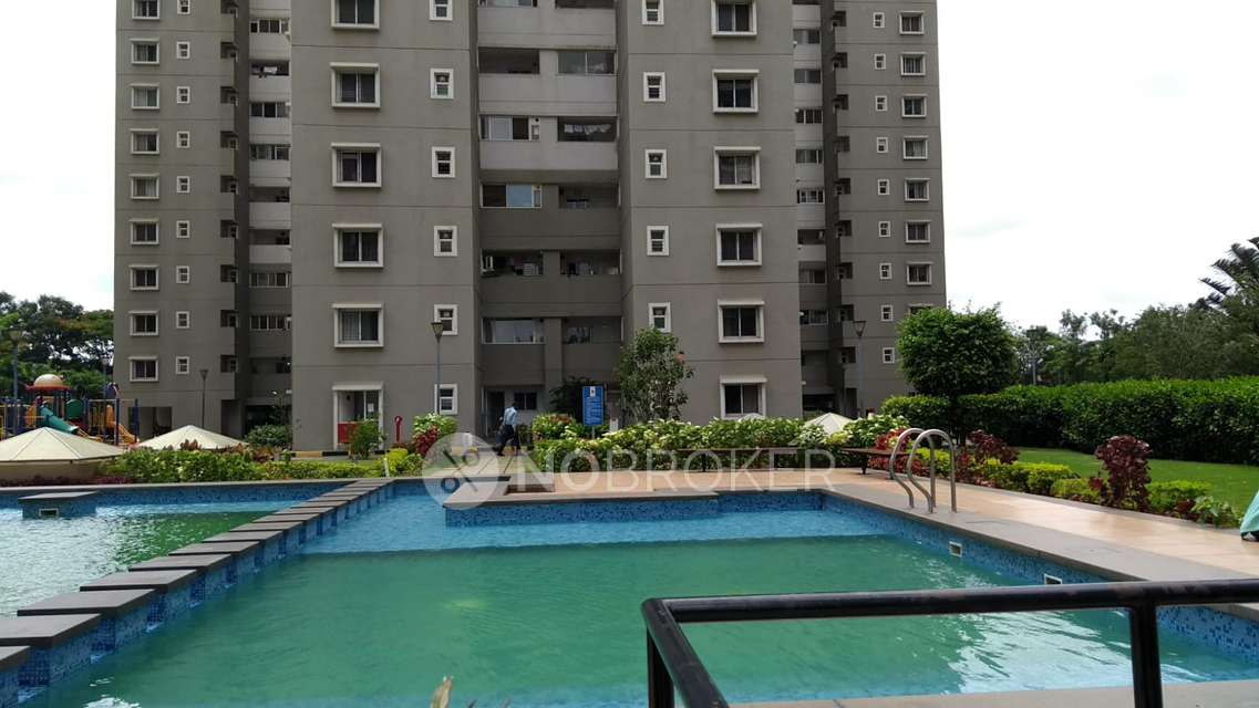 3 BHK Flat In Sobha Aspire for Rent  In Nagasandra